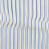 Poplin Stripes Blue