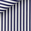Linen Stripes Blue