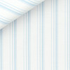 Twill Stripes Blue