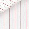 Poplin Stripes Pink