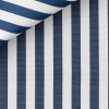 Poplin Stripes Blue
