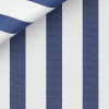 Poplin Stripes Blue