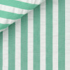 Seersucker Stripes Green