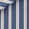Poplin Stripes Blue