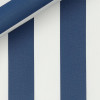 Twill Stripes Blue