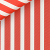 Poplin Stripes Red