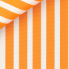 Poplin Stripes Orange