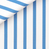 Poplin Stripes Blue