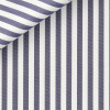 Poplin Stripes Blue