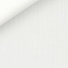Dobby Plain White