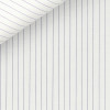 Poplin Stripes Blue