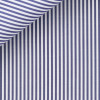Poplin Stripes Blue