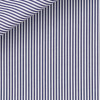 Poplin Stripes Blue