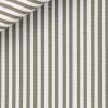 Poplin Stripes Green