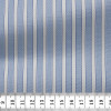 Oxford Stripes Blue White