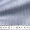 Poplin Stripes Blue White