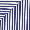 Poplin Stripes Blue