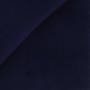 Corduroy Plain Blue