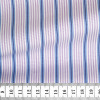 Poplin Stripes Purple Blue