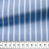 Poplin Stripes Blue White