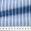 Poplin Stripes Blue White