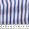 Poplin Stripes Blue