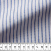 Poplin Stripes Blue