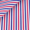 Poplin Stripes Blue Red