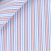 Poplin Stripes Blue Red