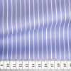 Twill Stripes Blue