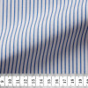 Poplin Stripes Blue