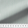 Poplin Stripes Green