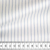 Twill Stripes Blue