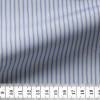 Poplin Stripes Blue