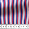 Poplin Stripes Blue Red