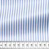 Twill Stripes Blue White