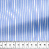 Poplin Stripes Blue White