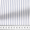 Poplin Stripes Blue White