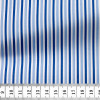 Poplin Stripes Blue White