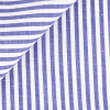 Poplin Stripes Blue