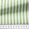 Poplin Stripes Green