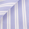 Poplin Stripes Blue