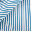 Poplin Stripes Blue