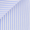 Blue Stripes Oxford  