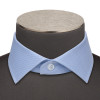 Small Italian Cutaway Collar