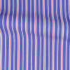 Poplin Stripes Blue Red