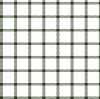 Oxford Check Pattern Green