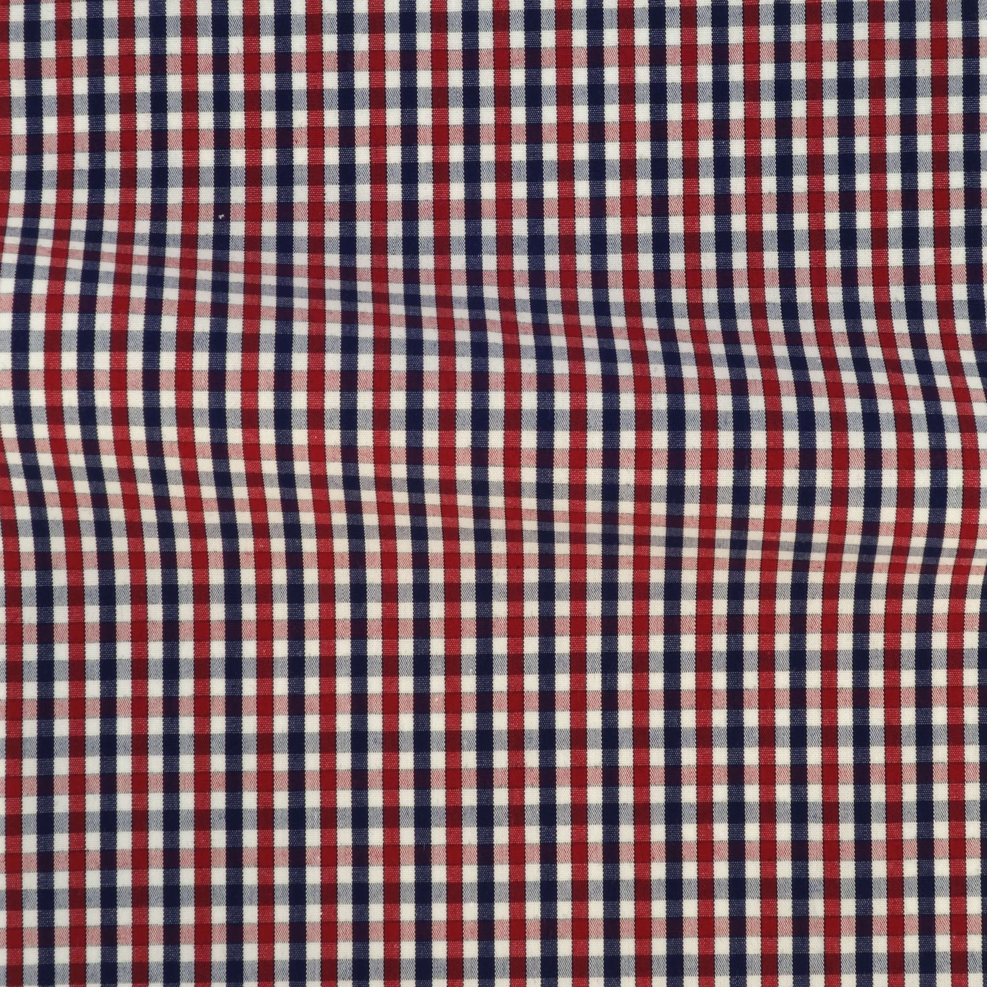 Poplin Check Pattern Blue Red