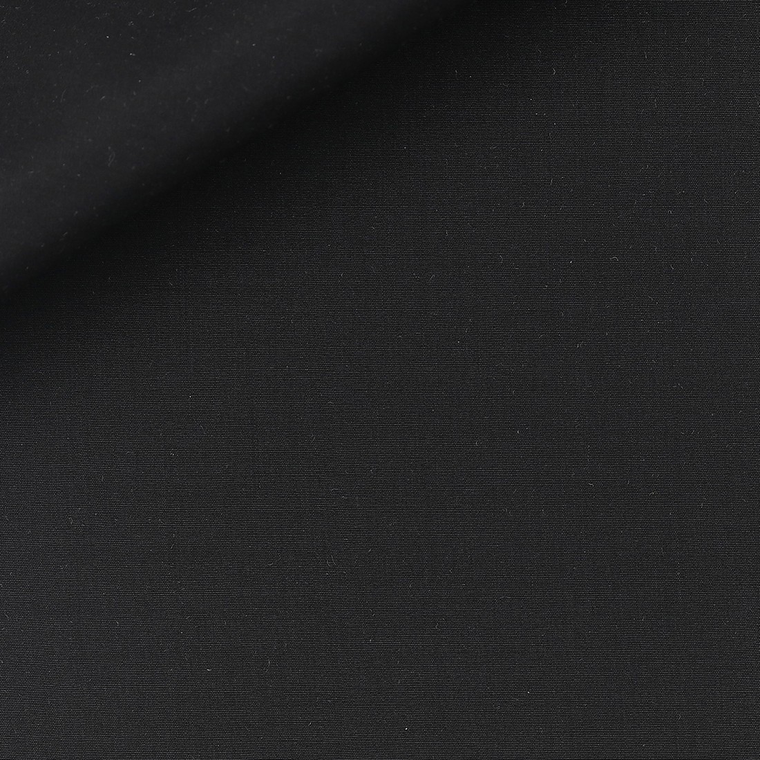 Poplin Plain Black