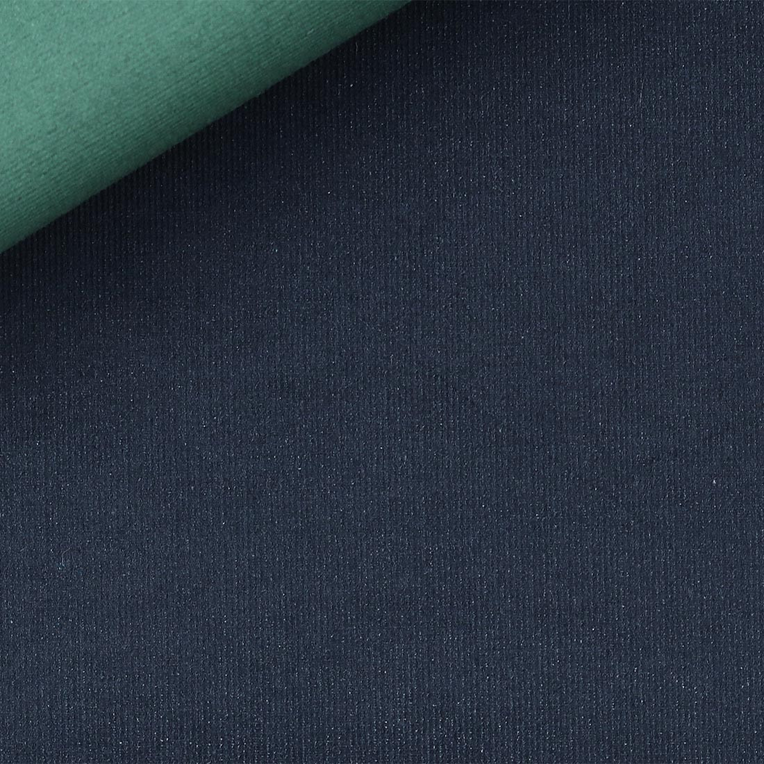 Corduroy Plain Blue